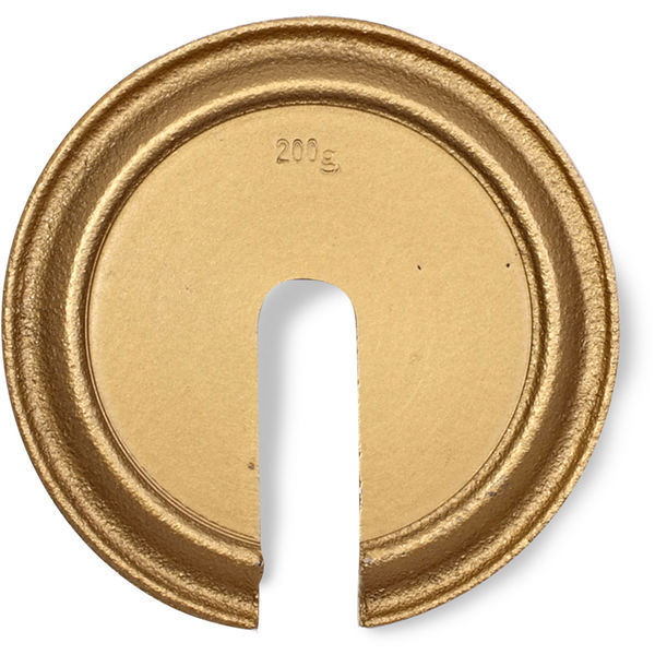 ASTM Individual Scale Calibration Weights Calibration Weight 200g OHAUS