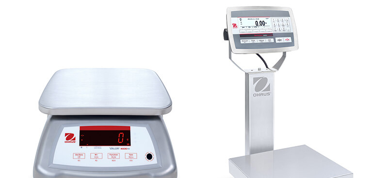 industrial food scale