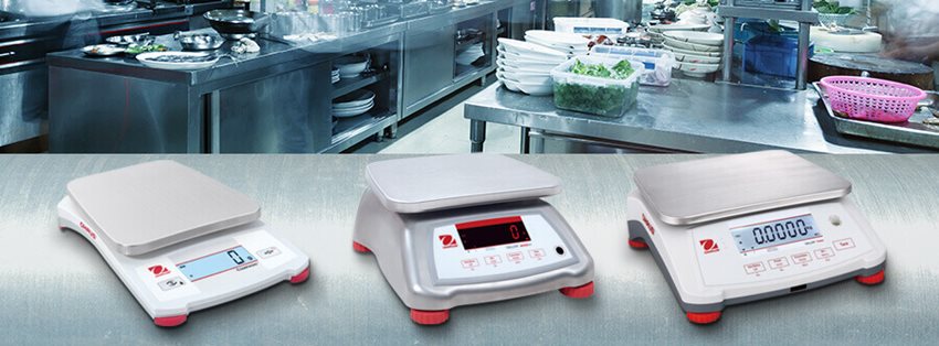 Food Scales