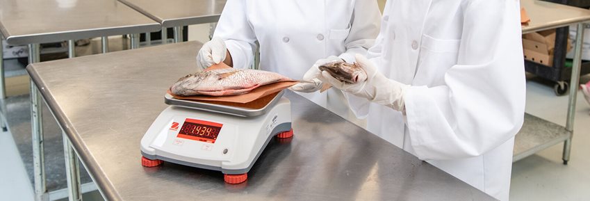 Food Scales