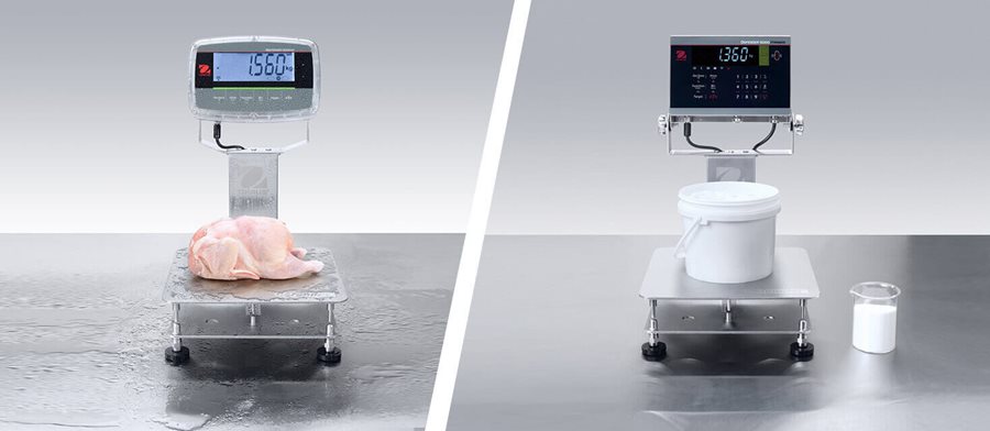 Bench Scales